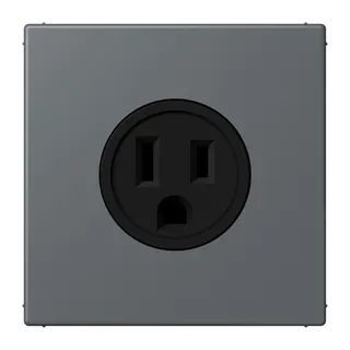 Jung Steckdose, US-Norm NEMA, 15 A 125 V ~, Schraubklemmen, ohne Krallen, Thermoplast lackiert, Serie LS, gris foncé 31 LC521-15202