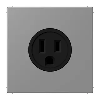 Jung Steckdose, US-Norm NEMA, 15 A 125 V ~, Schraubklemmen, ohne Krallen, Thermoplast lackiert, Serie LS, gris 31 LC521-15203