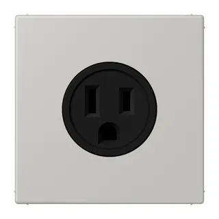 Jung Steckdose, US-Norm NEMA, 15 A 125 V ~, Schraubklemmen, ohne Krallen, Thermoplast lackiert, Serie LS, gris clair 31 LC521-15205