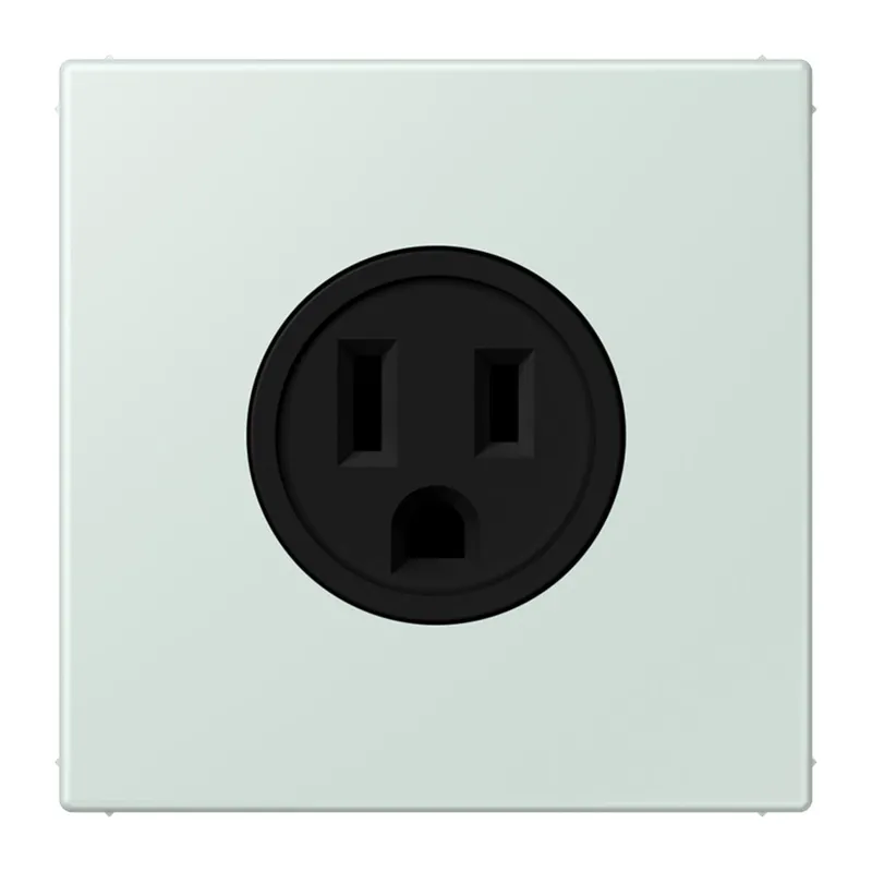 Jung Steckdose, US-Norm NEMA, 15 A 125 V ~, Schraubklemmen, ohne Krallen, Thermoplast lackiert, Serie LS, céruléen pale LC521-15215