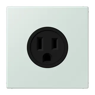 Jung Steckdose, US-Norm NEMA, 15 A 125 V ~, Schraubklemmen, ohne Krallen, Thermoplast lackiert, Serie LS, céruléen pale LC521-15215