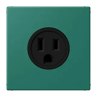 Jung Steckdose, US-Norm NEMA, 15 A 125 V ~, Schraubklemmen, ohne Krallen, Thermoplast lackiert, Serie LS, vert anglais LC521-15216