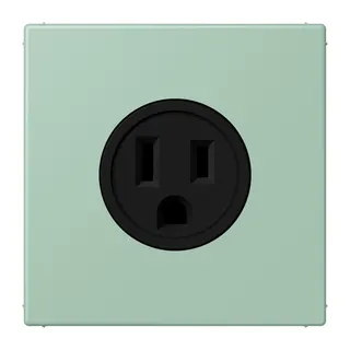 Jung Steckdose, US-Norm NEMA, 15 A 125 V ~, Schraubklemmen, ohne Krallen, Thermoplast lackiert, Serie LS, vert anglais clair LC521-15217
