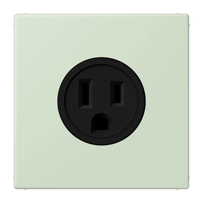 Jung Steckdose, US-Norm NEMA, 15 A 125 V ~, Schraubklemmen, ohne Krallen, Thermoplast lackiert, Serie LS, vert anglâis pale LC521-15218