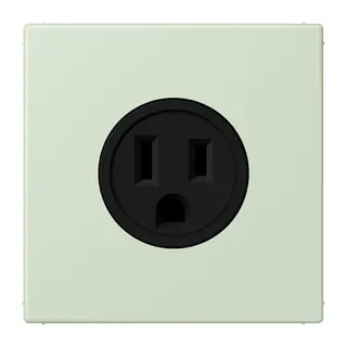 Jung Steckdose, US-Norm NEMA, 15 A 125 V ~, Schraubklemmen, ohne Krallen, Thermoplast lackiert, Serie LS, vert anglâis pale LC521-15218