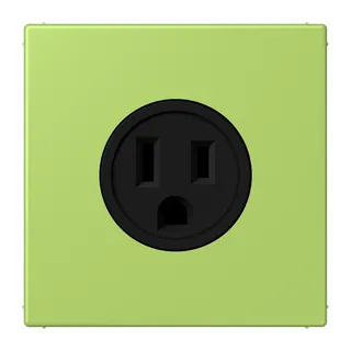 Jung Steckdose, US-Norm NEMA, 15 A 125 V ~, Schraubklemmen, ohne Krallen, Thermoplast lackiert, Serie LS, vert clair LC521-15221