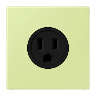 Jung Steckdose, US-Norm NEMA, 15 A 125 V ~, Schraubklemmen, ohne Krallen, Thermoplast lackiert, Serie LS, vert jaune clair LC521-15222
