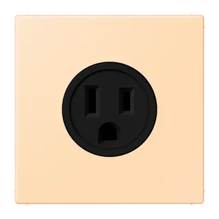Jung Steckdose, US-Norm NEMA, 15 A 125 V ~, Schraubklemmen, ohne Krallen, Thermoplast lackiert, Serie LS, ocre LC521-15223