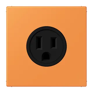 Jung Steckdose, US-Norm NEMA, 15 A 125 V ~, Schraubklemmen, ohne Krallen, Thermoplast lackiert, Serie LS, orange clair LC521-15225