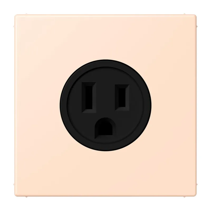 Jung Steckdose, US-Norm NEMA, 15 A 125 V ~, Schraubklemmen, ohne Krallen, Thermoplast lackiert, Serie LS, rose pâle LC521-15228