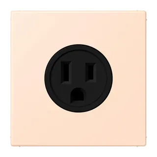 Jung Steckdose, US-Norm NEMA, 15 A 125 V ~, Schraubklemmen, ohne Krallen, Thermoplast lackiert, Serie LS, rose pâle LC521-15228