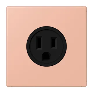 Jung Steckdose, US-Norm NEMA, 15 A 125 V ~, Schraubklemmen, ohne Krallen, Thermoplast lackiert, Serie LS, rose clair LC521-15231