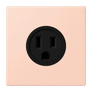 Jung Steckdose, US-Norm NEMA, 15 A 125 V ~, Schraubklemmen, ohne Krallen, Thermoplast lackiert, Serie LS, l'ocre rouge clair LC521-15234