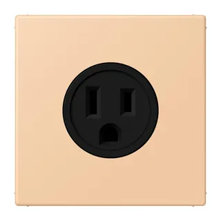 Jung Steckdose, US-Norm NEMA, 15 A 125 V ~, Schraubklemmen, ohne Krallen, Thermoplast lackiert, Serie LS, terre sienne claire 31 LC521-15237