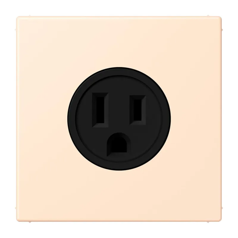 Jung Steckdose, US-Norm NEMA, 15 A 125 V ~, Schraubklemmen, ohne Krallen, Thermoplast lackiert, Serie LS, terre sienne pâle LC521-15238
