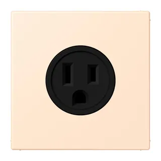 Jung Steckdose, US-Norm NEMA, 15 A 125 V ~, Schraubklemmen, ohne Krallen, Thermoplast lackiert, Serie LS, terre sienne pâle LC521-15238