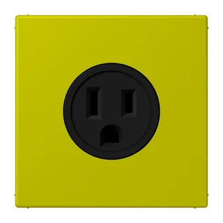 Jung Steckdose, US-Norm NEMA, 15 A 125 V ~, Schraubklemmen, ohne Krallen, Thermoplast lackiert, Serie LS, vert olive vif LC521-15249