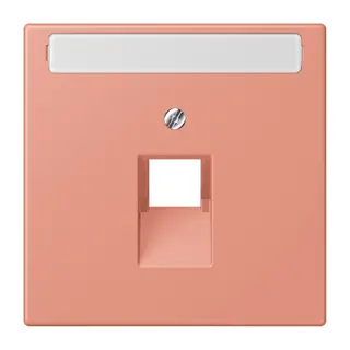 Jung Abdeckung für IAE/UAE-Anschlussdosen 1 x 8-polig, mit Schriftfeld, Thermoplast lackiert, Serie LS, l'ocre rouge moyen LC969-1NAUA233