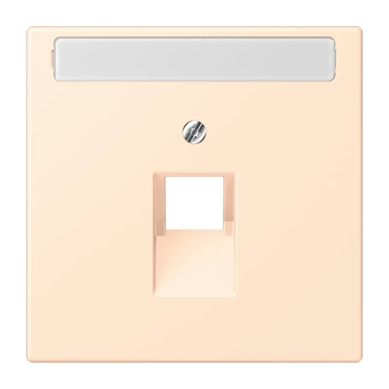 Jung Abdeckung für IAE/UAE-Anschlussdosen 1 x 8-polig, mit Schriftfeld, Thermoplast lackiert, Serie LS, terre sienne pâle LC969-1NAUA238