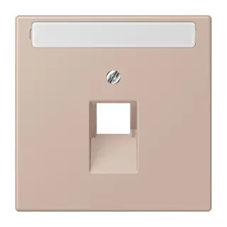 Jung Abdeckung für IAE/UAE-Anschlussdosen 1 x 8-polig, mit Schriftfeld, Thermoplast lackiert, Serie LS, ombre br?lée claire LC969-1NAUA240