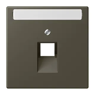 Jung Abdeckung für IAE/UAE-Anschlussdosen 1 x 8-polig, mit Schriftfeld, Thermoplast lackiert, Serie LS, ombre naturelle 31 LC969-1NAUA241