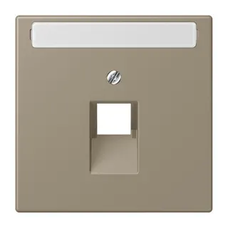 Jung Abdeckung für IAE/UAE-Anschlussdosen 1 x 8-polig, mit Schriftfeld, Thermoplast lackiert, Serie LS, ombre naturelle moyenne LC969-1NAUA242