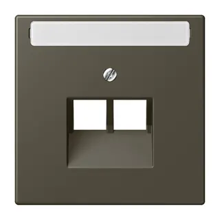 Jung Abdeckung für IAE/UAE-Anschlussdosen 2 x 8-polig, mit Schriftfeld, Thermoplast lackiert, Serie LS, ombre naturelle 31 LC969-2NAUA241