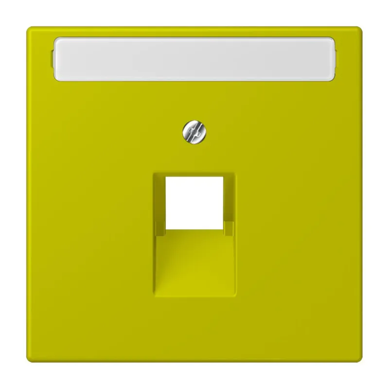 Jung Abdeckung für IAE/UAE-Anschlussdosen 1 x 8-polig, mit Schriftfeld, Thermoplast lackiert, Serie LS, vert olive vif LC969-1NAUA249