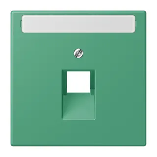 Jung Abdeckung für IAE/UAE-Anschlussdosen 1 x 8-polig, mit Schriftfeld, Thermoplast lackiert, Serie LS, vert 59 LC969-1NAUA250