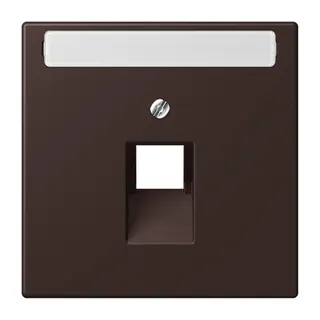 Jung Abdeckung für IAE/UAE-Anschlussdosen 1 x 8-polig, mit Schriftfeld, Thermoplast lackiert, Serie LS, terre d?ombre br?lée 59 LC969-1NAUA252