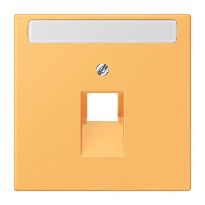 Jung Abdeckung für IAE/UAE-Anschlussdosen 1 x 8-polig, mit Schriftfeld, Thermoplast lackiert, Serie LS, ocre jaune clair LC969-1NAUA254