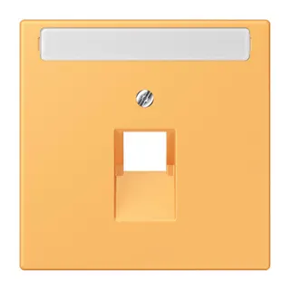 Jung Abdeckung für IAE/UAE-Anschlussdosen 1 x 8-polig, mit Schriftfeld, Thermoplast lackiert, Serie LS, ocre jaune clair LC969-1NAUA254