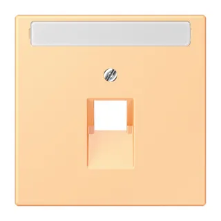 Jung Abdeckung für IAE/UAE-Anschlussdosen 1 x 8-polig, mit Schriftfeld, Thermoplast lackiert, Serie LS, terre sienne claire 59 LC969-1NAUA258
