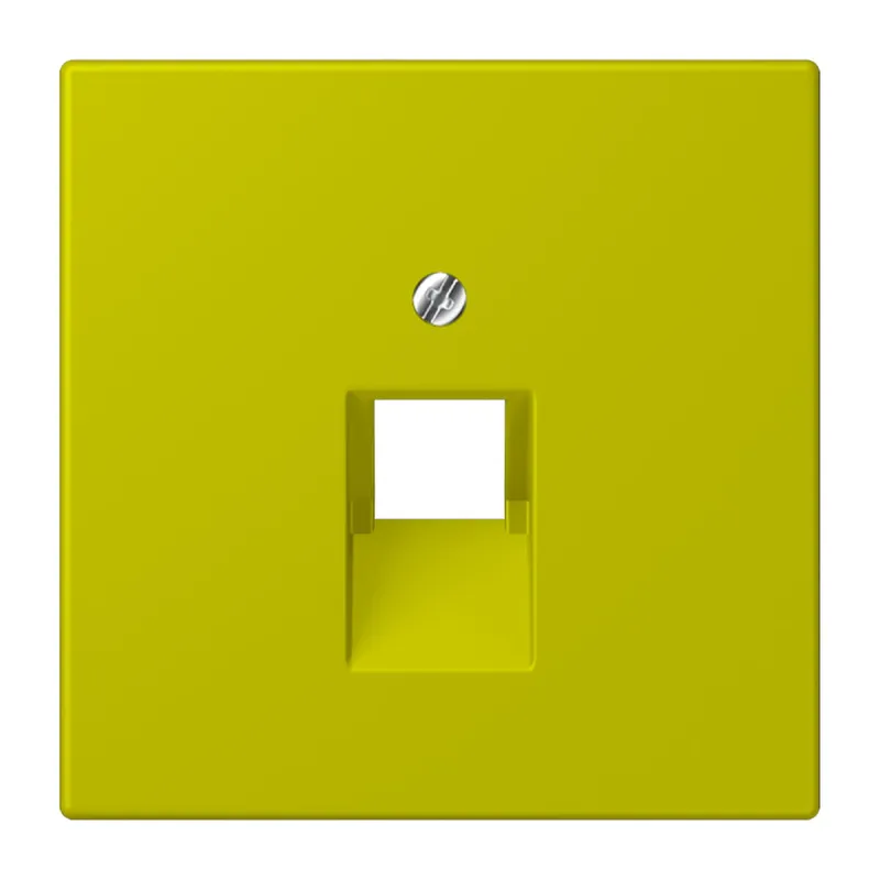 Jung Abdeckung für IAE/UAE-Anschlussdosen 1 x 8-polig, Thermoplast lackiert, Serie LS, vert olive vif LC969-1UA249