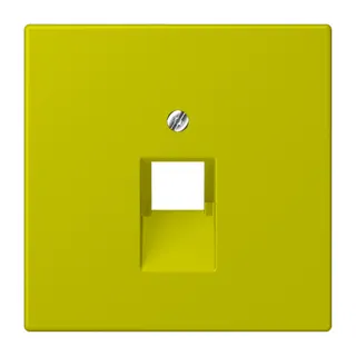 Jung Abdeckung für IAE/UAE-Anschlussdosen 1 x 8-polig, Thermoplast lackiert, Serie LS, vert olive vif LC969-1UA249