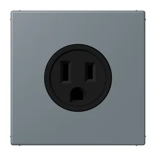 Jung Steckdose, US-Norm NEMA, 15 A 125 V ~, Schraubklemmen, ohne Krallen, Thermoplast lackiert, Serie LS, gris 59 LC521-15251