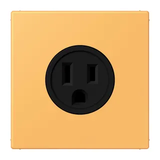 Jung Steckdose, US-Norm NEMA, 15 A 125 V ~, Schraubklemmen, ohne Krallen, Thermoplast lackiert, Serie LS, ocre jaune clair LC521-15254