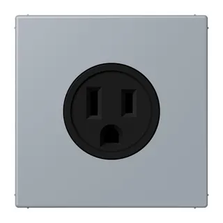 Jung Steckdose, US-Norm NEMA, 15 A 125 V ~, Schraubklemmen, ohne Krallen, Thermoplast lackiert, Serie LS, gris clair 59 LC521-15257