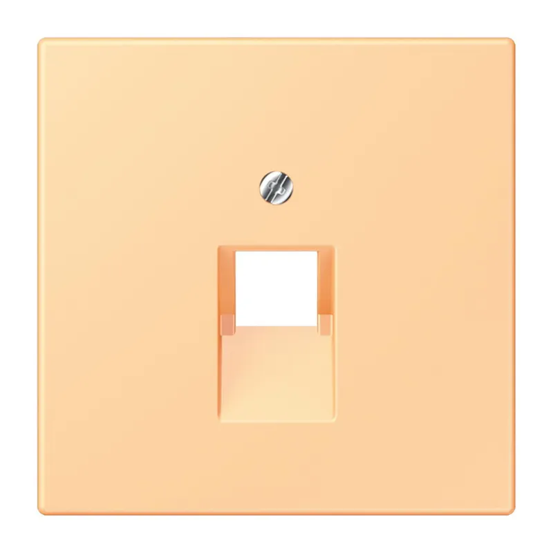 Jung Abdeckung für IAE/UAE-Anschlussdosen 1 x 8-polig, Thermoplast lackiert, Serie LS, terre sienne claire 59 LC969-1UA258