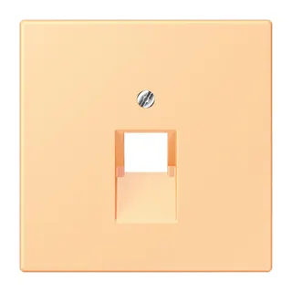Jung Abdeckung für IAE/UAE-Anschlussdosen 1 x 8-polig, Thermoplast lackiert, Serie LS, terre sienne claire 59 LC969-1UA258