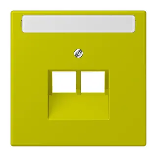 Jung Abdeckung für IAE/UAE-Anschlussdosen 2 x 8-polig, mit Schriftfeld, Thermoplast lackiert, Serie LS, vert olive vif LC969-2NAUA249