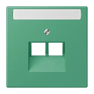 Jung Abdeckung für IAE/UAE-Anschlussdosen 2 x 8-polig, mit Schriftfeld, Thermoplast lackiert, Serie LS, vert 59 LC969-2NAUA250