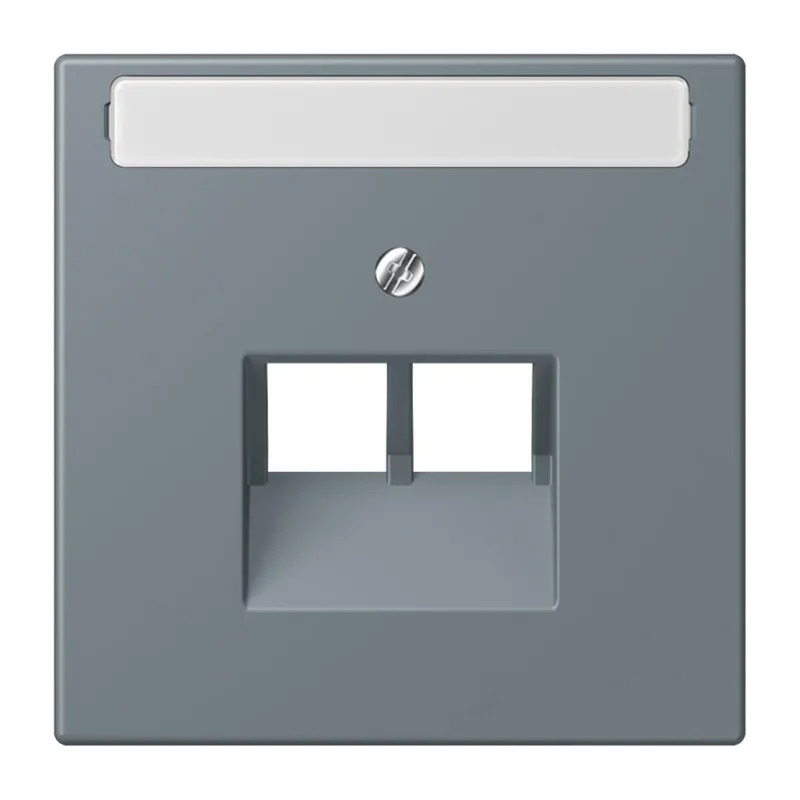 Jung Abdeckung für IAE/UAE-Anschlussdosen 2 x 8-polig, mit Schriftfeld, Thermoplast lackiert, Serie LS, gris 59 LC969-2NAUA251