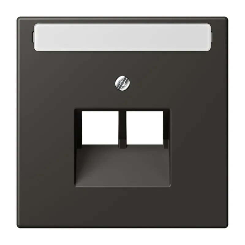 Jung Abdeckung für IAE/UAE-Anschlussdosen 2 x 8-polig, mit Schriftfeld, Thermoplast lackiert, Serie LS, ombre naturelle 59 LC969-2NAUA259