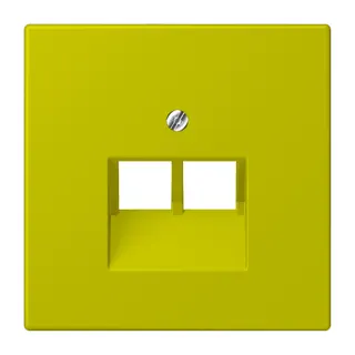 Jung Abdeckung für IAE/UAE-Anschlussdosen 2 x 8-polig, Thermoplast lackiert, Serie LS, vert olive vif LC969-2UA249