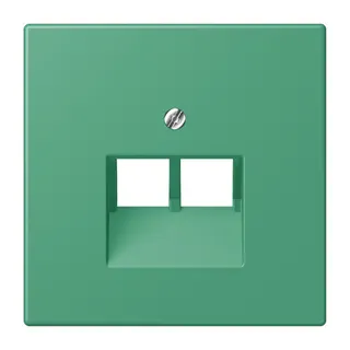 Jung Abdeckung für IAE/UAE-Anschlussdosen 2 x 8-polig, Thermoplast lackiert, Serie LS, vert 59 LC969-2UA250