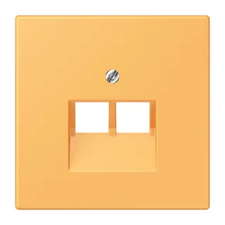 Jung Abdeckung für IAE/UAE-Anschlussdosen 2 x 8-polig, Thermoplast lackiert, Serie LS, ocre jaune clair LC969-2UA254