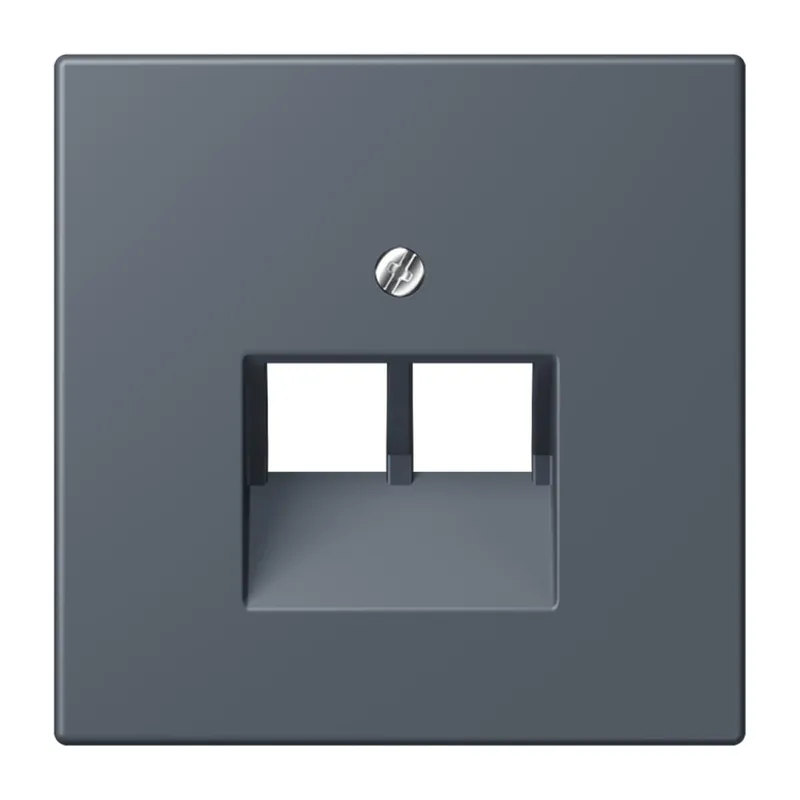 Jung Abdeckung für IAE/UAE-Anschlussdosen 2 x 8-polig, Thermoplast lackiert, Serie LS, gris fonce 59 LC969-2UA262