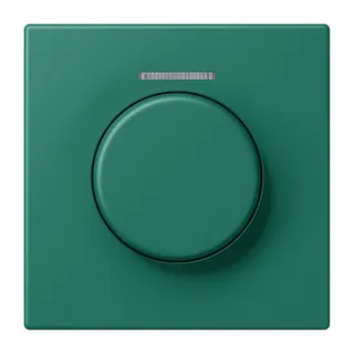 Jung Abdeckung mit Lichtleiter für KNX Drehsensor, Serie LS, vert anglais LC1940KO5216