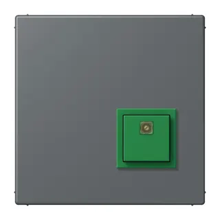 Jung Notrufsystem Abstelltaster, Serie LS, gris foncé 31 NRSLC0834AT202